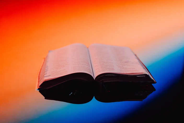 開かれた本から広がる教育の未来のイメージ