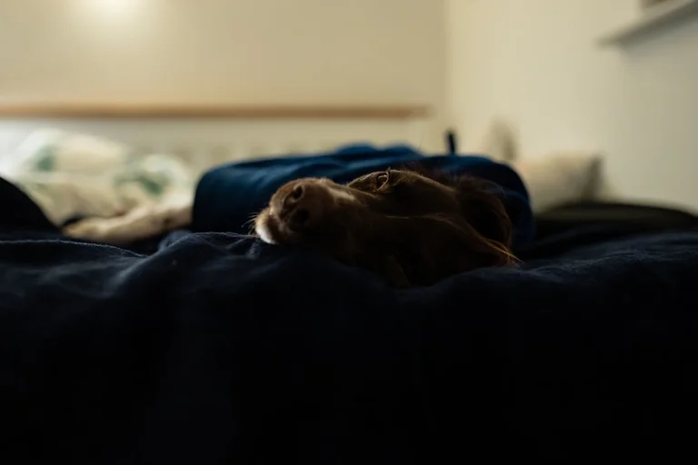 眠っている子どもと睡眠の質を表すイメージ